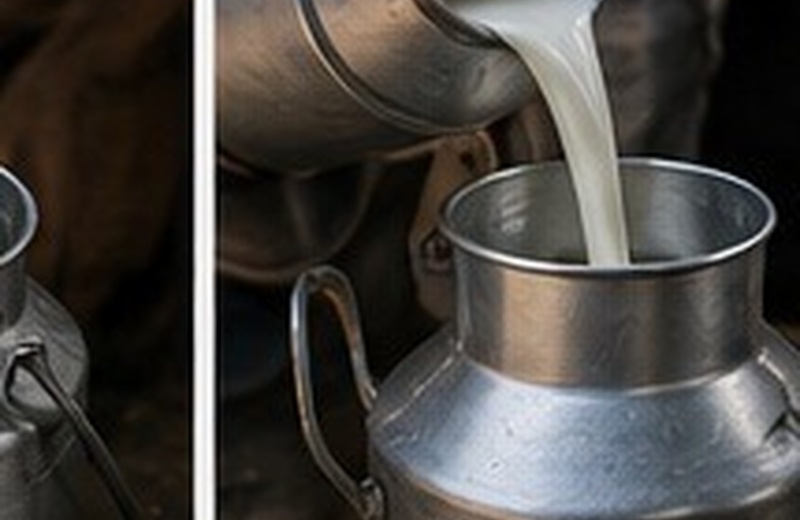 Fresh buffalo milk