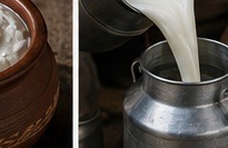 Fresh cow milk